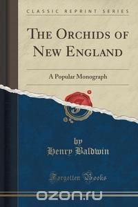 The Orchids of New England