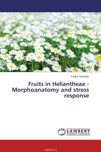 Fruits in Heliantheae - Morphoanatomy and stress response