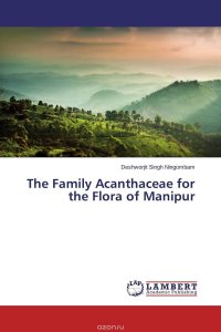 The Family Acanthaceae for the Flora of Manipur