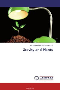 Gravity and Plants