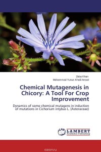 Chemical Mutagenesis in Chicory: A Tool For Crop Improvement