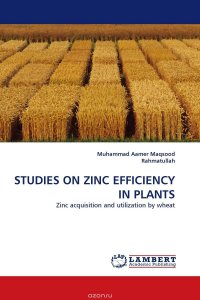 STUDIES ON ZINC EFFICIENCY IN PLANTS