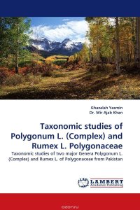 Ghazalah Yasmin and Dr. Mir Ajab Khan - «Taxonomic studies of Polygonum L. (Complex) and Rumex L. Polygonaceae»