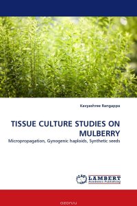 TISSUE CULTURE STUDIES ON MULBERRY