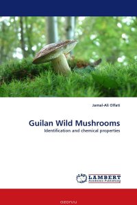 Guilan Wild Mushrooms