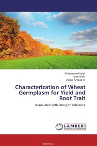 Characterization of Wheat Germplasm for Yield and Root Trait