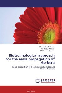 Md. Motiur Rahman, Md Bulbul Ahmed and M. Monzur Hossain - «Biotechnological approach for the mass propagation of Gerbera»