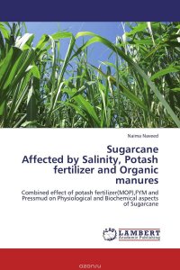 Sugarcane Affected by Salinity, Potash fertilizer and Organic manures