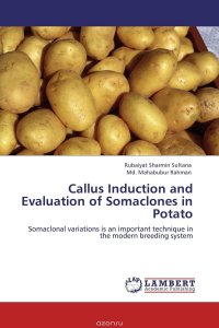 Callus Induction and Evaluation of Somaclones in Potato