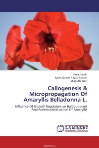 Sana Habib, Syeda Qamar Nayab Batool and Shagufta Naz - «Callogenesis & Micropropagation Of Amaryllis Belladonna L»