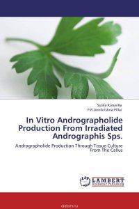 In Vitro Andrographolide Production From Irradiated Andrographis Sps