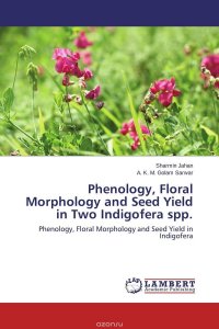 Phenology, Floral Morphology and Seed Yield in Two Indigofera spp