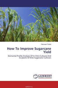 How To Improve Sugarcane Yield