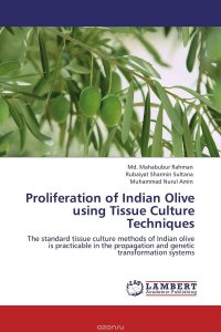 Proliferation of Indian Olive using Tissue Culture Techniques