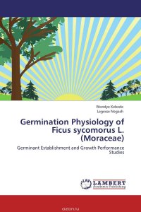 Wondye Kebede and Legesse Negash - «Germination Physiology of Ficus sycomorus L. (Moraceae)»