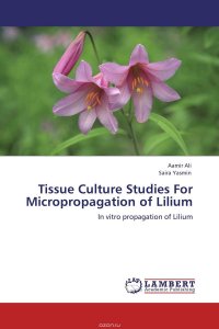 Tissue Culture Studies For Micropropagation of Lilium