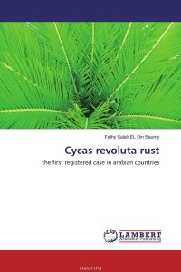 Cycas revoluta rust