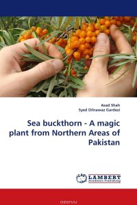 Sea buckthorn - A magic plant from Northern Areas of Pakistan