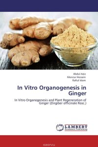 In Vitro Organogenesis in Ginger