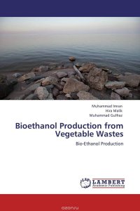 Bioethanol Production from Vegetable Wastes