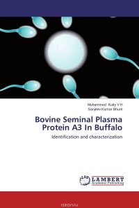 Bovine Seminal Plasma Protein A3 In Buffalo