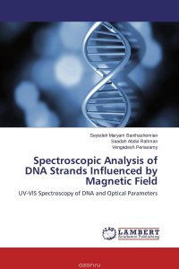 Spectroscopic Analysis of DNA Strands Influenced by Magnetic Field