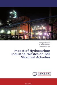 Impact of Hydrocarbon Industrial Wastes on Soil Microbial Activities