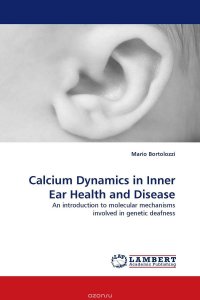 Calcium Dynamics in Inner Ear Health and Disease