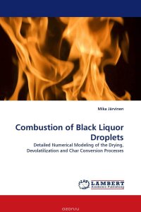 Combustion of Black Liquor Droplets