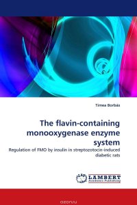 The flavin-containing monooxygenase enzyme system