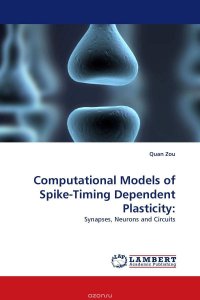 Computational Models of Spike-Timing Dependent Plasticity: