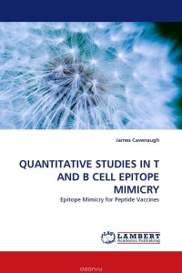 QUANTITATIVE STUDIES IN T AND B CELL EPITOPE MIMICRY