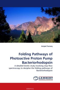 Folding Pathways of Photoactive Proton Pump Bacteriorhodopsin