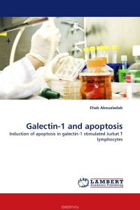 Galectin-1 and apoptosis