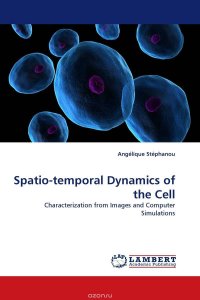 Spatio-temporal Dynamics of the Cell