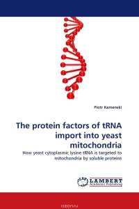 The protein factors of tRNA import into yeast mitochondria