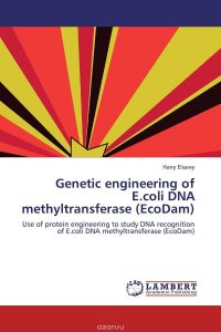 Genetic engineering of E.coli DNA methyltransferase (EcoDam)