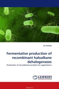 Fermentative production of recombinant haloalkane dehalogenases