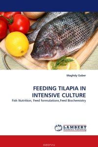 FEEDING TILAPIA IN INTENSIVE CULTURE