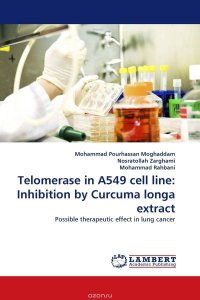 Telomerase in A549 cell line: Inhibition by Curcuma longa extract