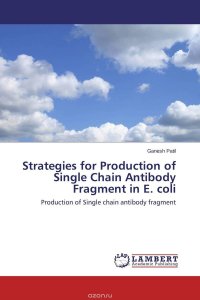 Strategies for Production of Single Chain Antibody Fragment in E. coli