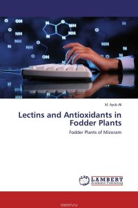 Lectins and Antioxidants in Fodder Plants