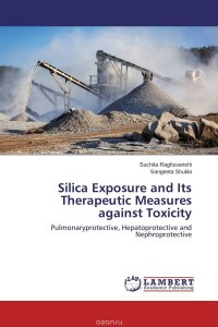 Silica Exposure and Its Therapeutic Measures against Toxicity