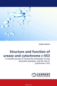 Structure and function of urease and cytochrome c-553