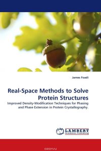 Real-Space Methods to Solve Protein Structures