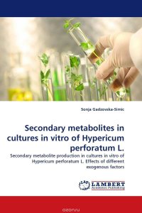 Secondary metabolites in cultures in vitro of Hypericum perforatum L