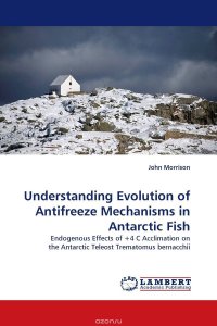 John Morrison - «Understanding Evolution of Antifreeze Mechanisms in Antarctic Fish»