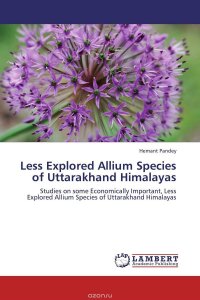 Less Explored Allium Species of Uttarakhand Himalayas