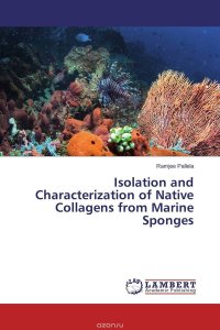 Isolation and Characterization of Native Collagens from Marine Sponges