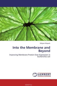 Into the Membrane and Beyond